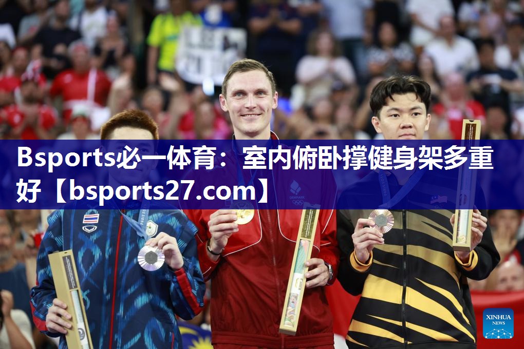 Bsports必一体育：室内俯卧撑健身架多重好